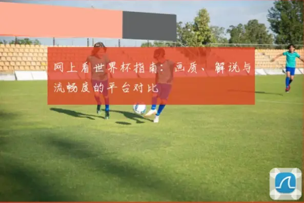 世界杯回放画质与流畅度对比指南